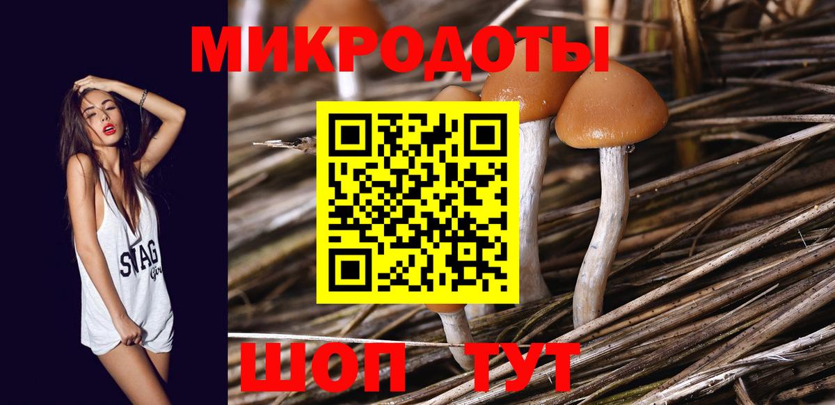 Донецк  где купить   Вход с VPN  Псилоцибиновые грибы Psilocybine cubensis 